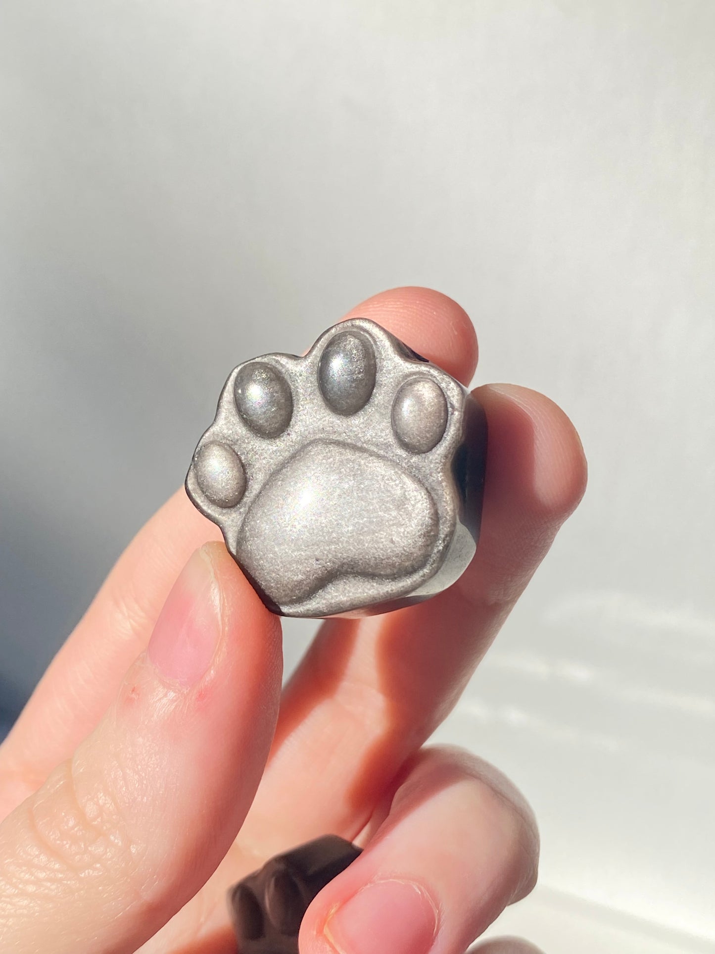 Silver Obsidian Paw