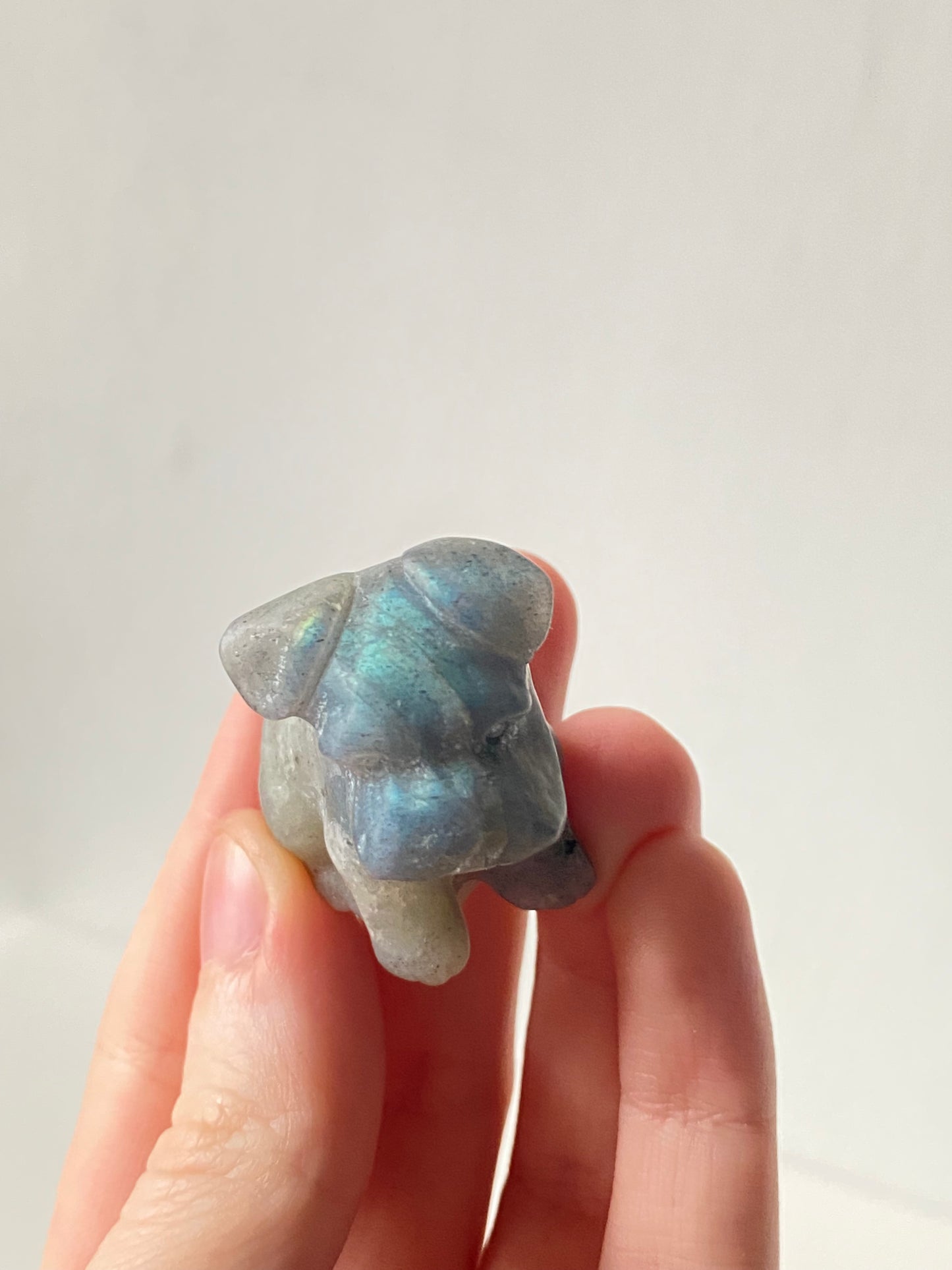 Schnauzer Dog Carving