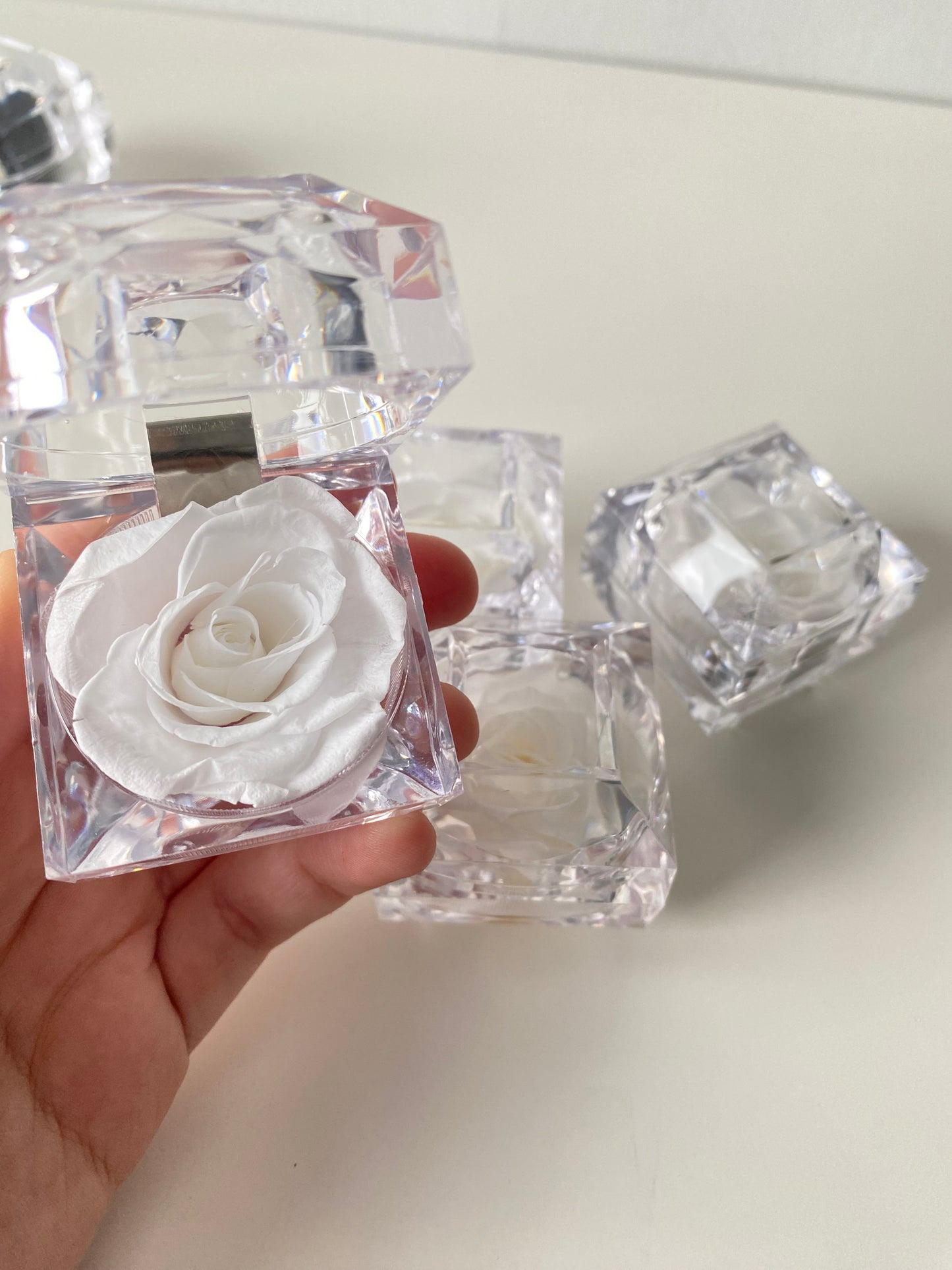 Forever Lasting Rose