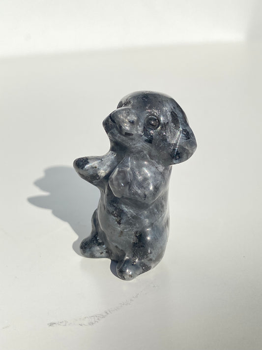 Larvikite Excited Dog