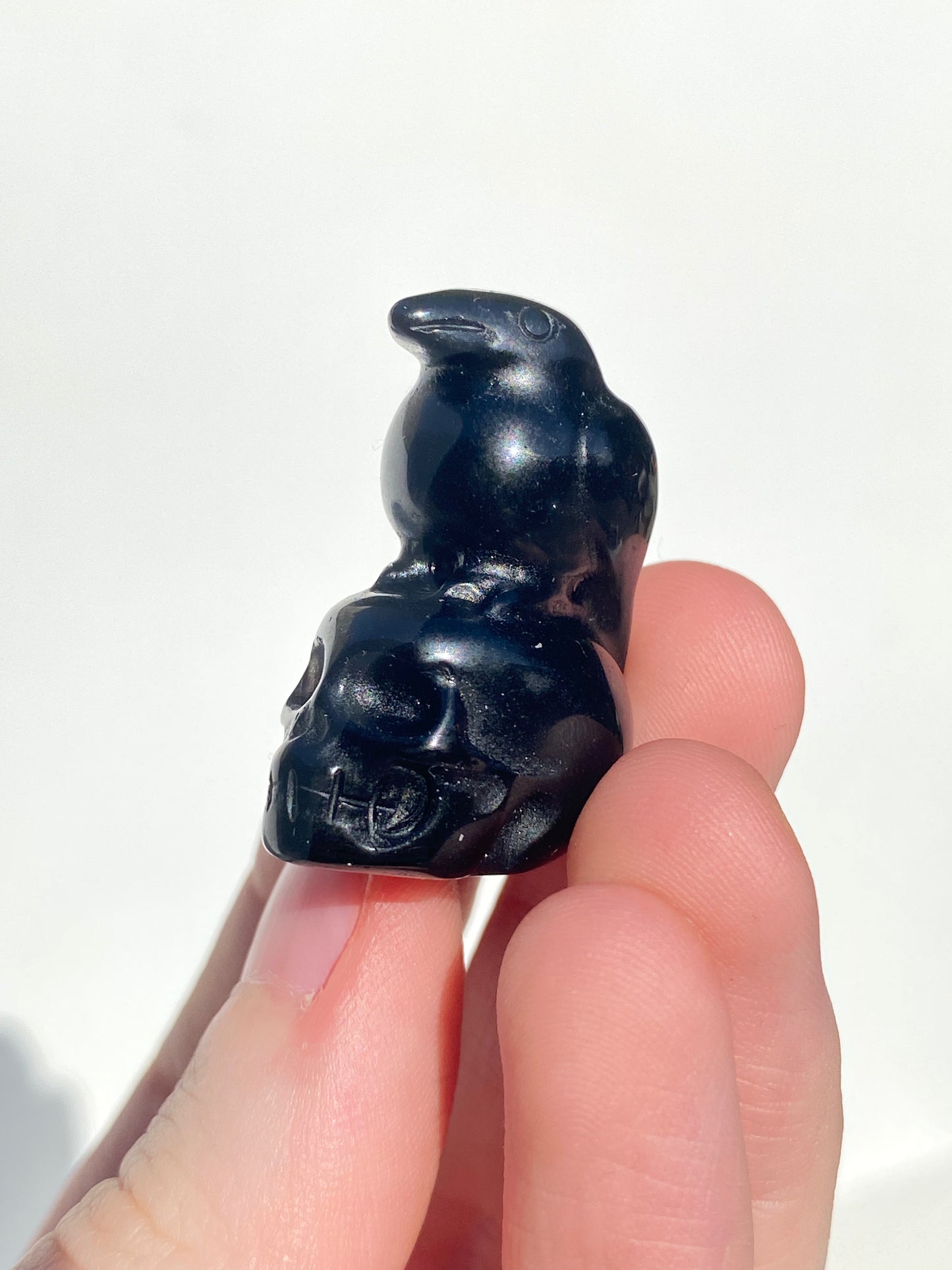Obsidian Raven Skull