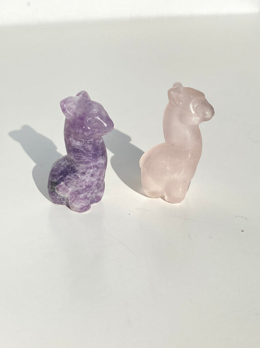 Mini Lama