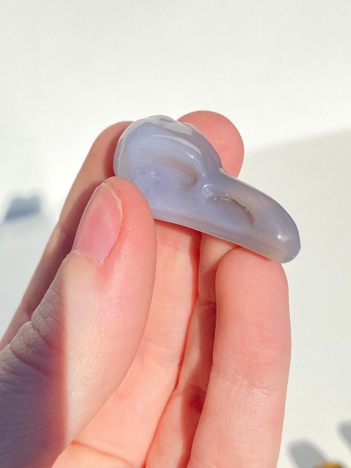 Mini Raven Skull