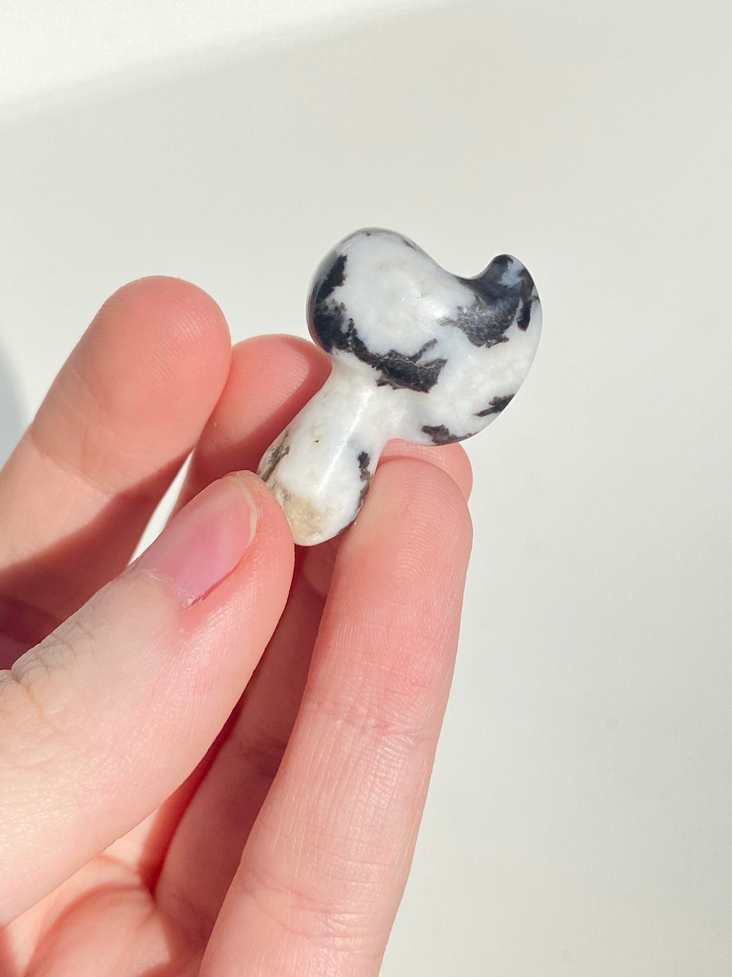 Mini Zebra Jasper Hammer