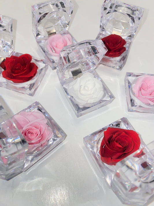 Forever Lasting Rose