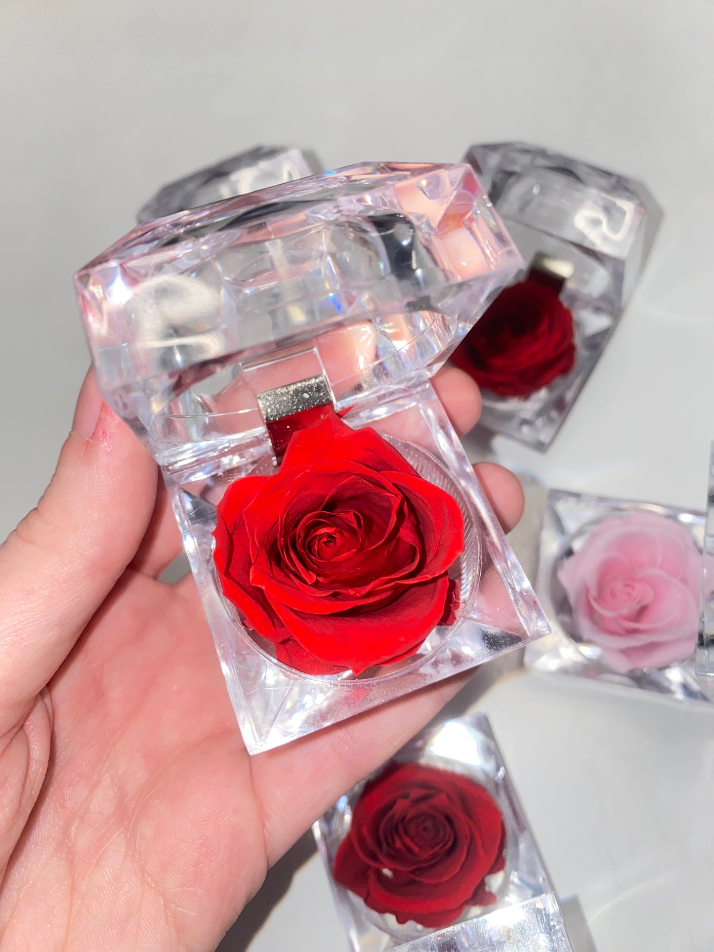 Forever Lasting Rose