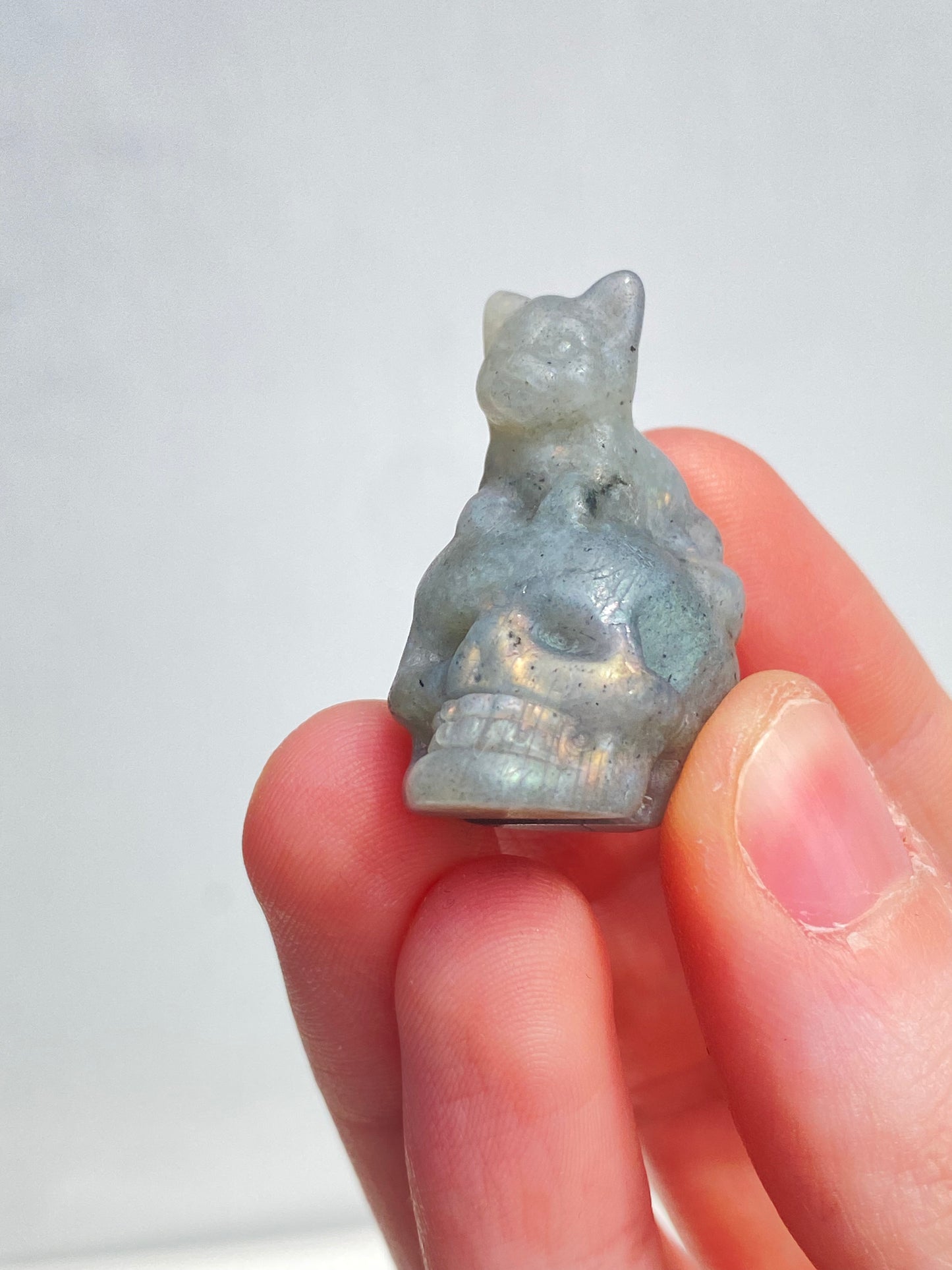 Labradorite Kitty Skull