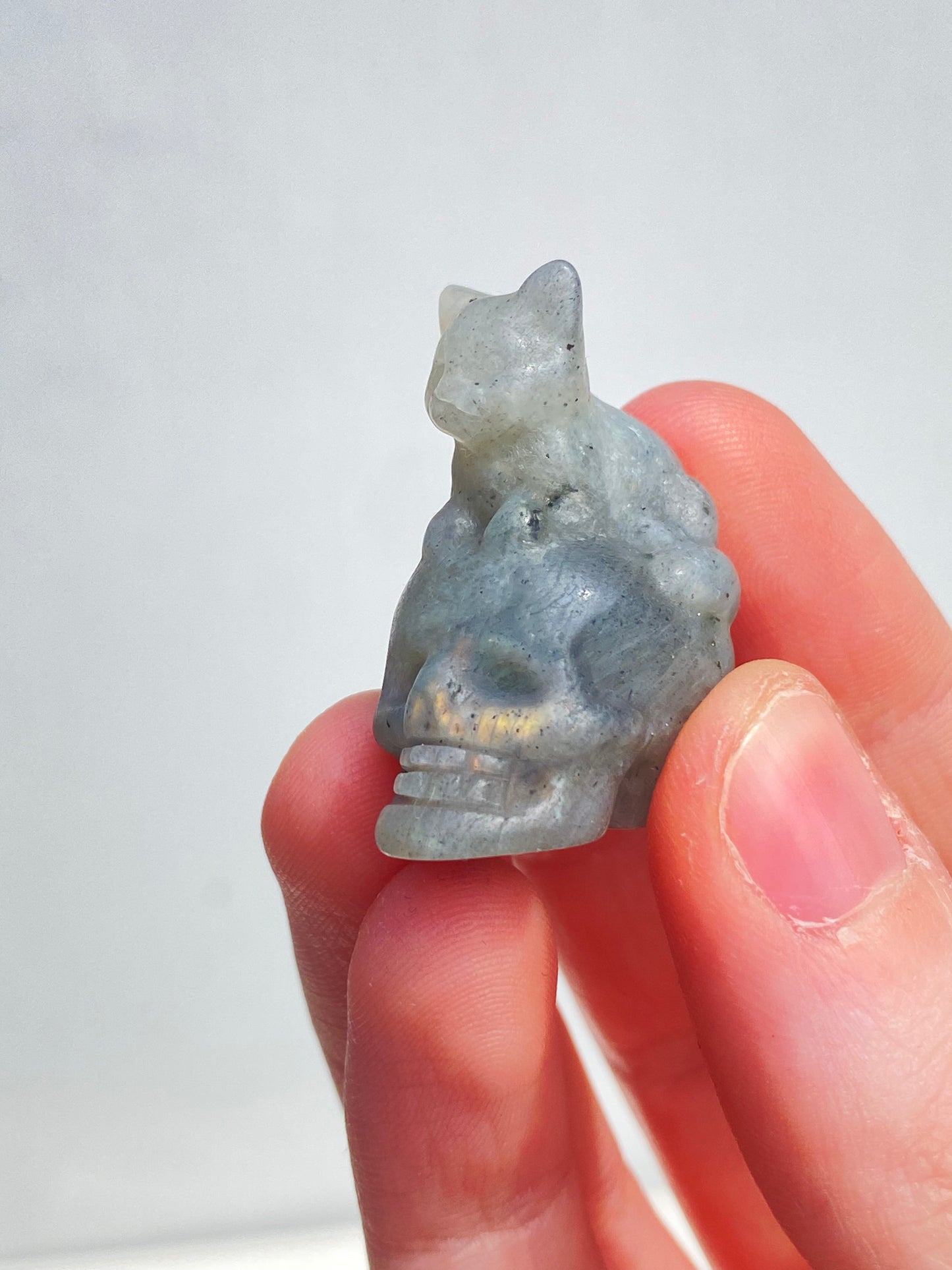 Labradorite Kitty Skull