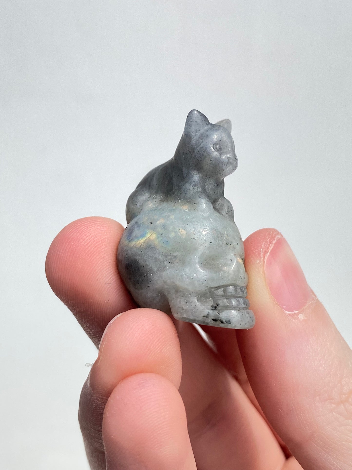 Labradorite Kitty Skull